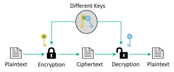 Symmetric vs Asymmetric Encryption - 5 Differences Explained by Experts