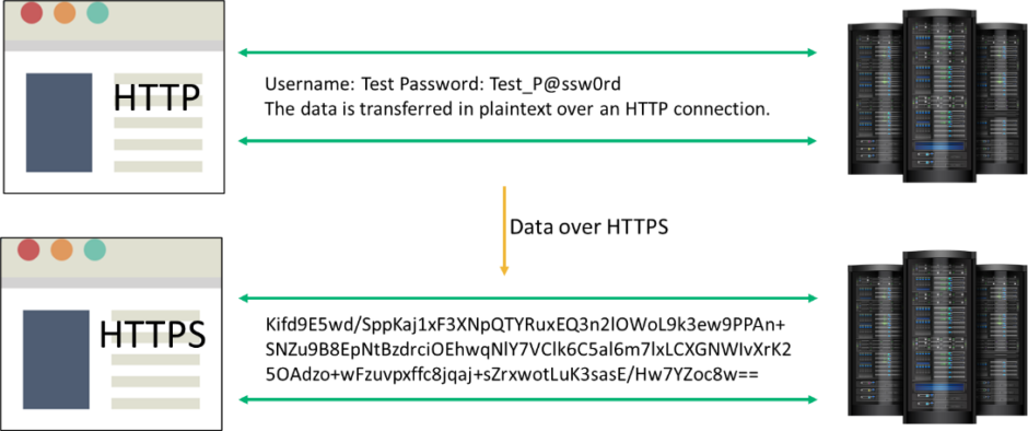 Port 443 Everything You Need To Know About HTTPS 443 InfoSec Insights