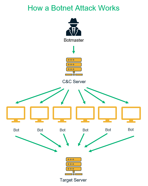 An illustration of how a basic botnet attack works