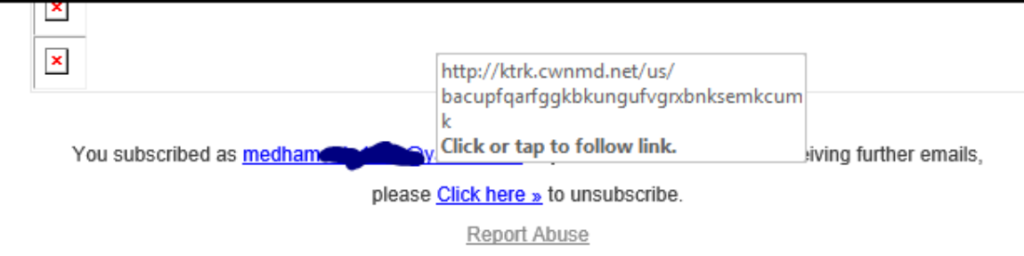 A screenshot of how an embedded URL displays while hovering over a link in an email