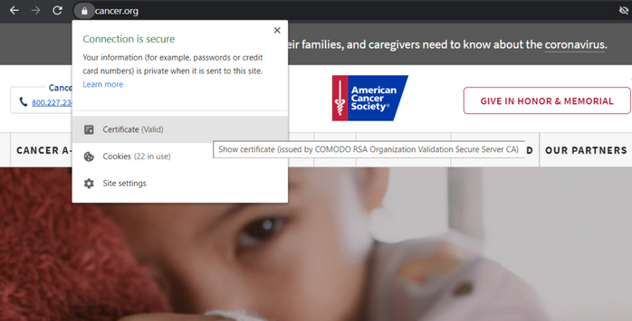 A screenshot of the American Cancer Society website that shows the security padlock and organizational information