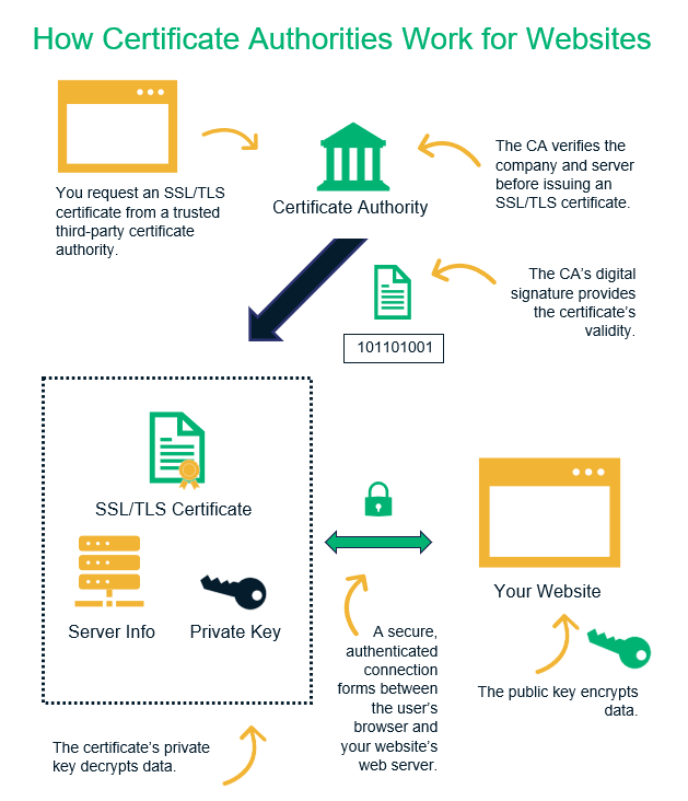 An illustration that breaks down the role of a certificate authority in issuing a website security certificate