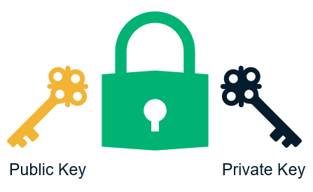 An example of a public-private key pair that X.509 certificates use