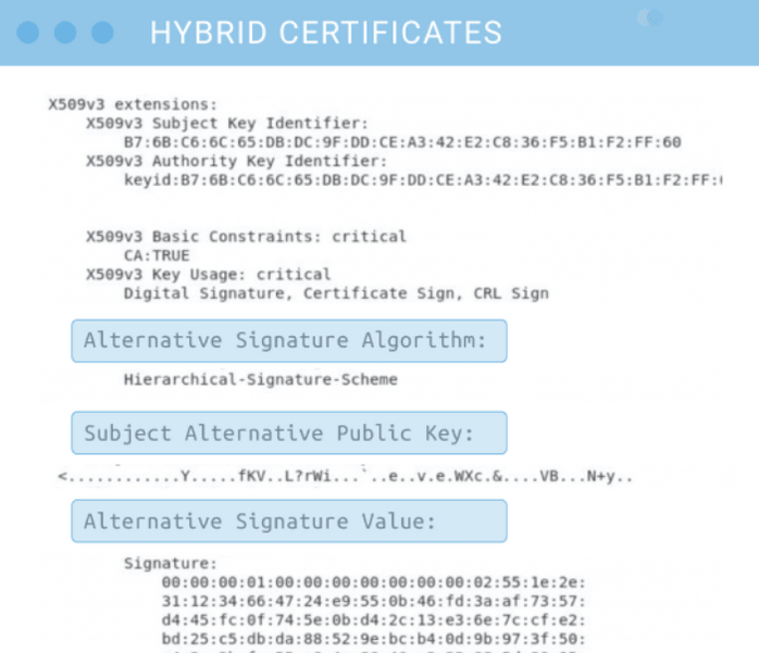 An illustration of the alternate fields that hybrid digital certificates would include