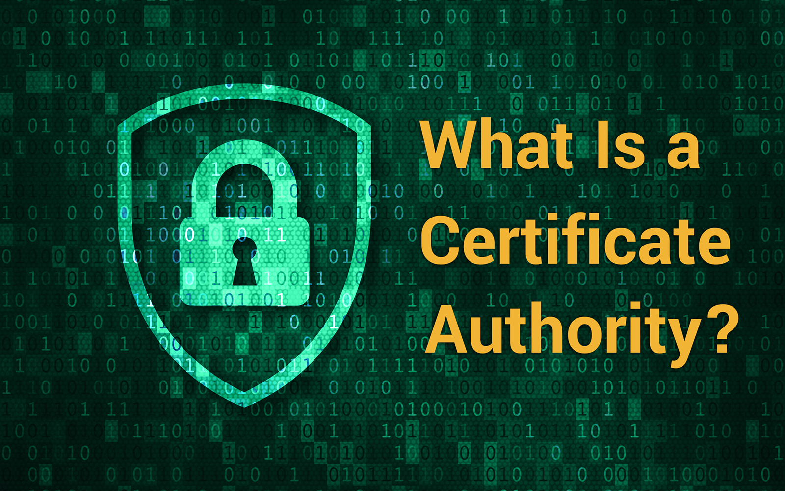 What Is a Certificate Authority? Certification Authorities Explained ...