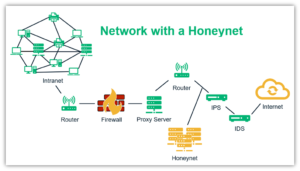 What Is A Honeypot In Network Security? Definition, Types & Uses ...