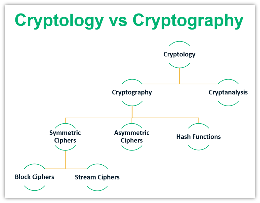 crypto meaning in medical term