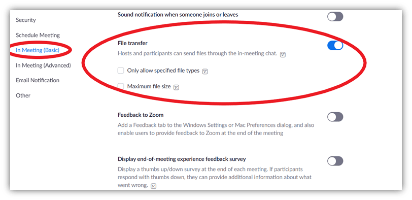 A screenshot of the Zoom security settings window that shows the file transfer option for basic users. 