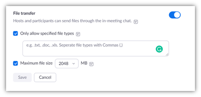 Is Zoom secure graphic: A screenshot of the Zoom file transfer window that allows users to specify which file types they will allow users to share in chat.