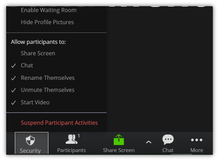 A screenshot in a Zoom chat meeting that shows where to suspend participant activities