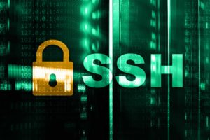 What Is Passwordless SSH? A Look at SSH Passwordless Authentication