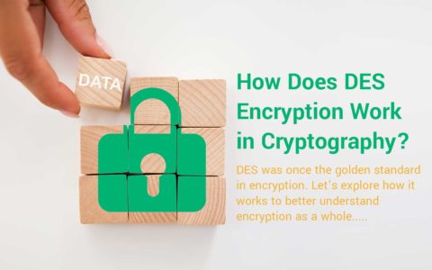How Does DES Encryption Work in Cryptography?
