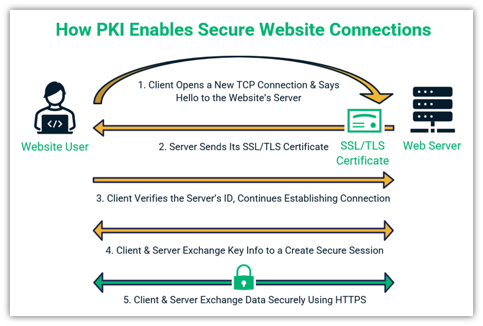 An illustration that walks you through the PKI basics of how public key infrastructure facilitates secure website connections between a user's client and the website's server it connects to on the other end.