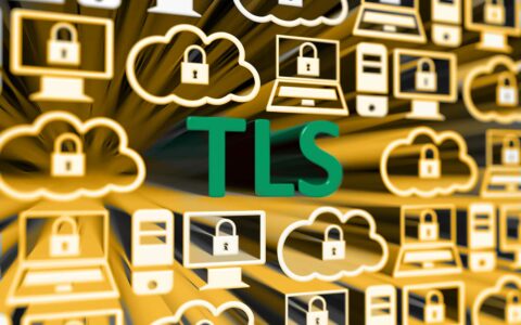 What Is Transport Layer Security? A Breakdown of the Secure TLS Encryption Protocol