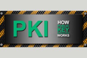 How Does PKI Work? A Look at the Inner Workings of Public Key Infrastructure