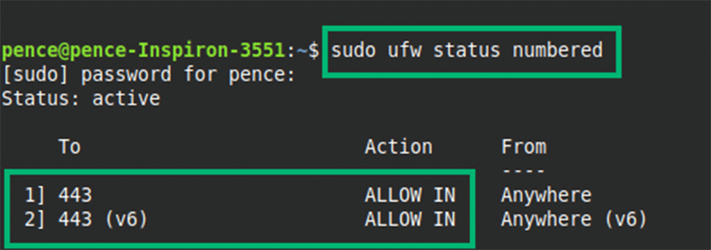 An example demonstrating how to check if port 443 is open