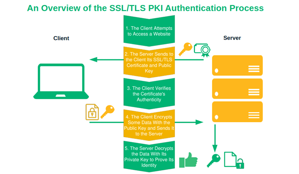 A look at the SSL/TLS handshake process and where authentication fits into the picture