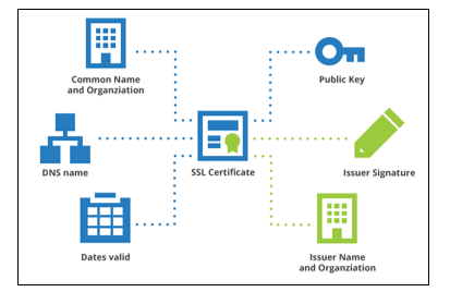 How to enable SSL after purchase - SSL Certificates 