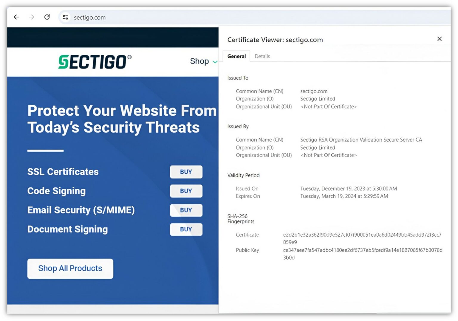 Wildcard SSL Vs Standard SSL: What’s The Difference?