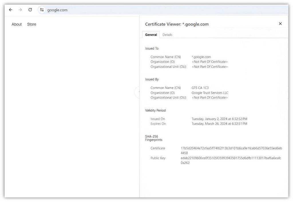 Wildcard SSL certificate example
